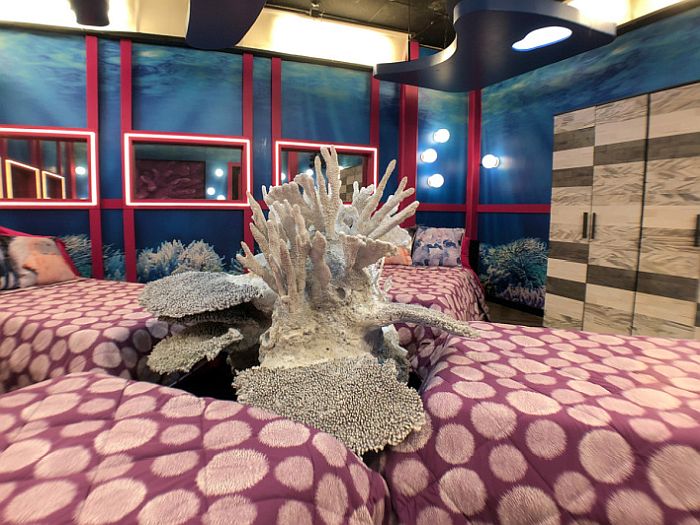 Big Brother 23 - Bed Room 2 picture 2